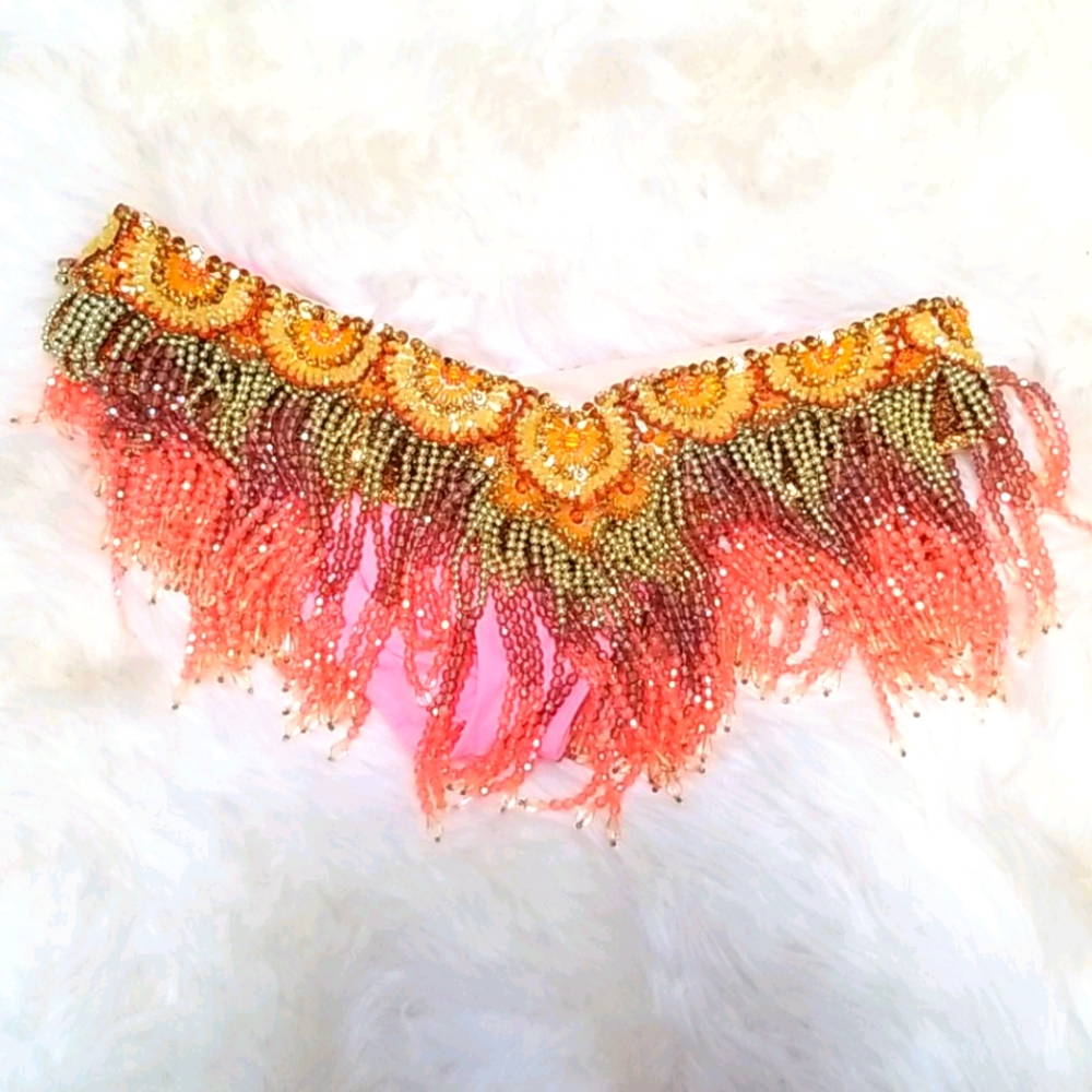 Samba / Belly Dance Costume View 4